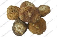 Maca  extract